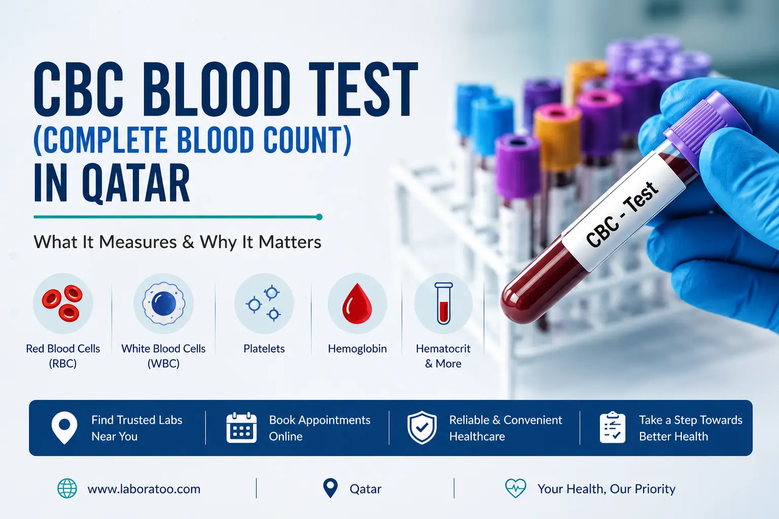 Complete Blood Count CBC blood test in Qatar explaining RBC, WBC, platelets and hemoglobin measurements