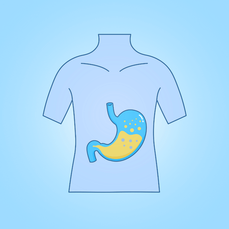 Stomach