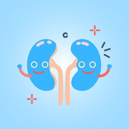 Kidney